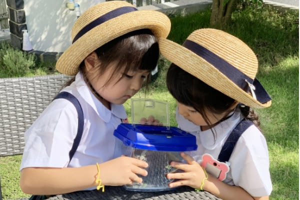 子どもの写真